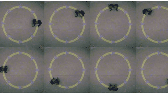 Learning Omnidirectional Path Following Using Dimensionality Reduction